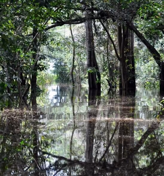 Cosas Para Ver y Hacer en Amazonas